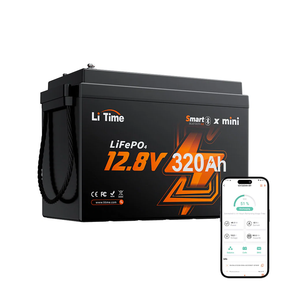 Batteria al litio LiTime NUOVA